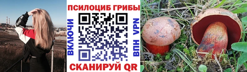 Галлюциногенные грибы MAGIC MUSHROOMS  Качканар 